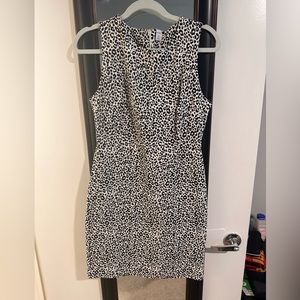 Women’s business dress